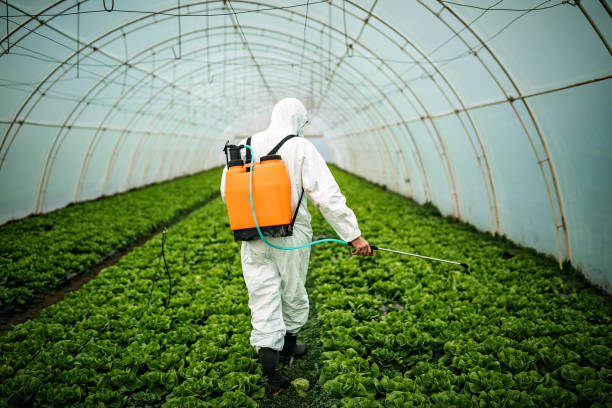 Best Best Pest Control Near Me  in Opelika, AL