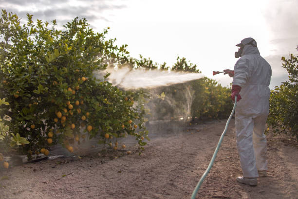 Best Pest Prevention Services  in Opelika, AL