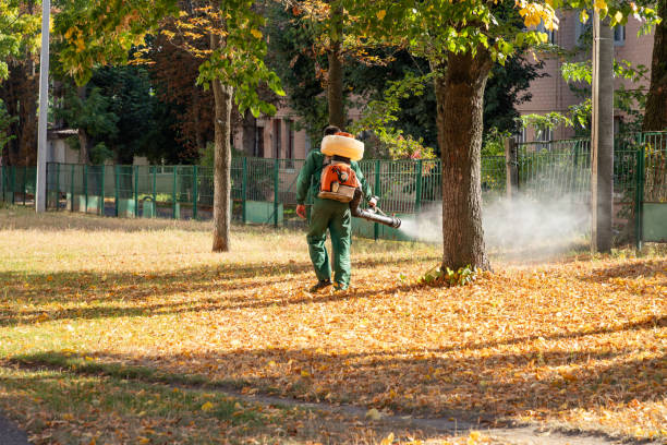 Best Wasp Removal Services  in Opelika, AL