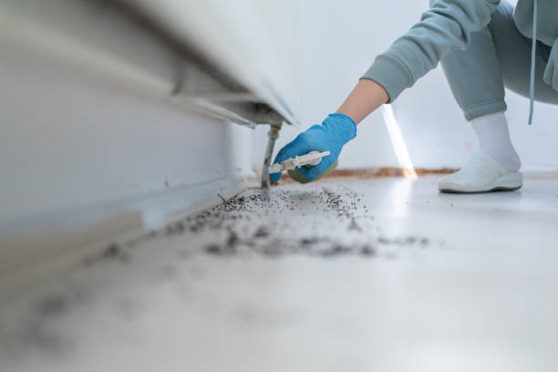Trusted Opelika, AL Pest Control Experts