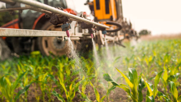 Best Mosquito Control Services  in Opelika, AL